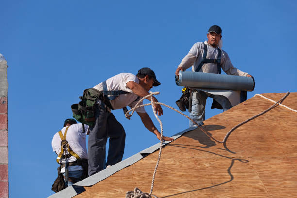 Quick and Trustworthy Emergency Roof Repair Services in Palisade, CO